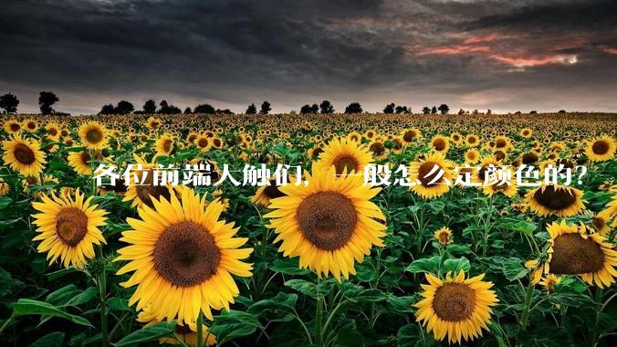 各位前端大触们，一般怎么定颜色的？