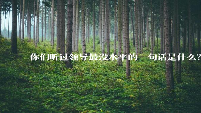 你们听过领导最没水平的一句话是什么？