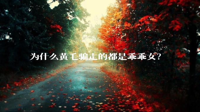 为什么黄毛骗走的都是乖乖女？