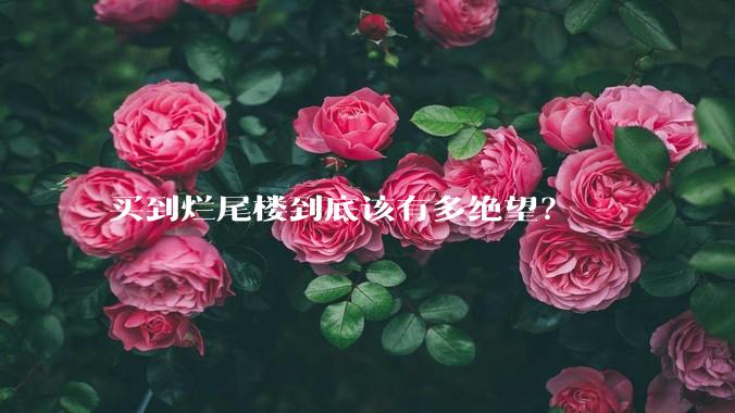 买到烂尾楼到底该有多绝望？